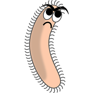 Bacteria PNG-43370